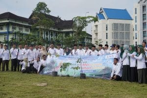 pohon matoa