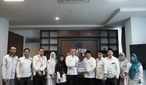 mikro data